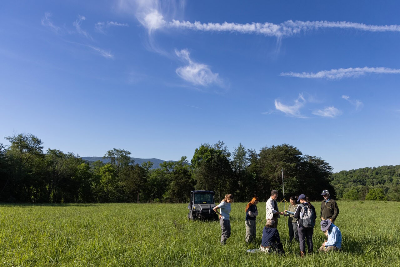 From Fields to Flight: Protecting Grassland Birds